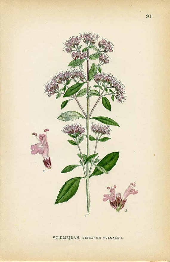 il_570xN.532085775_ip3f