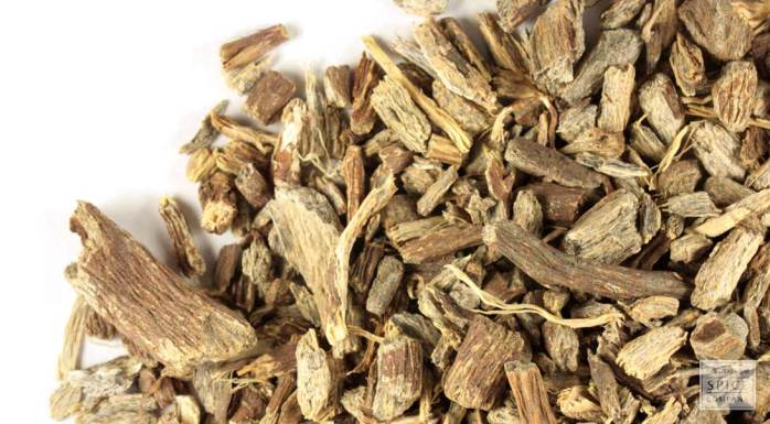 p-412-echinacea-ang-root-cs-wild-crafted