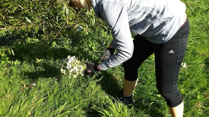 IMG_20170930_140108887