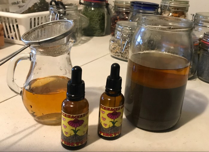 3A046B7D-6723-49BA-B5ED-2E3DE90C2436