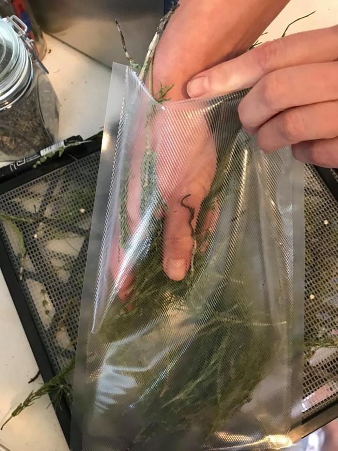 32455136_159206164922206_6051926008909529088_n