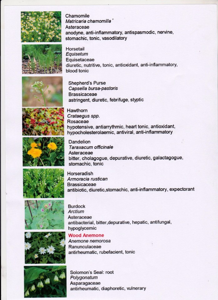nature walk guide 4